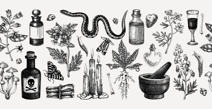 Witchcraft hand drawn vector illustrations. Bohemian seamless ribbon. Halloween background. Witch herbs, poisonous plants, magic ingredients sketches. NOT AI generated